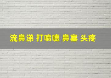 流鼻涕 打喷嚏 鼻塞 头疼